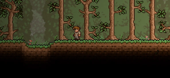 سید های تراریا: The Constant