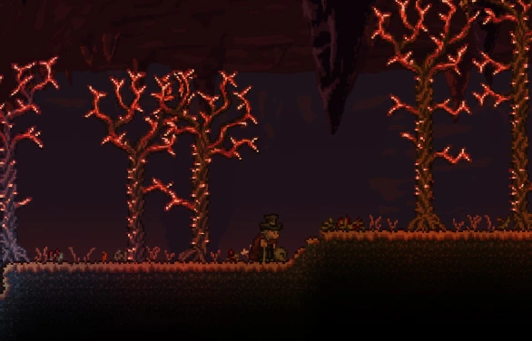 سید های تراریا: Don't dig up 